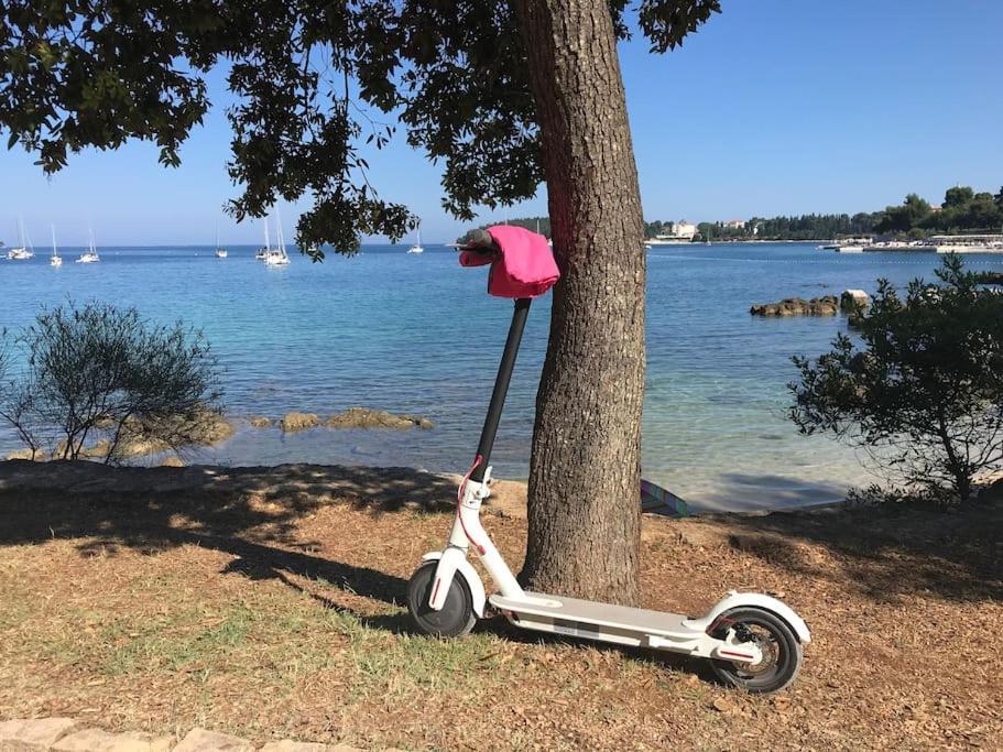 Apartment Capo D'Oro Rovinj Exterior photo